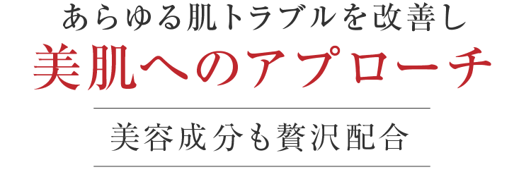 あらゆる肌トラブルを改善し美肌へのアプローチ美容成分も贅沢配合