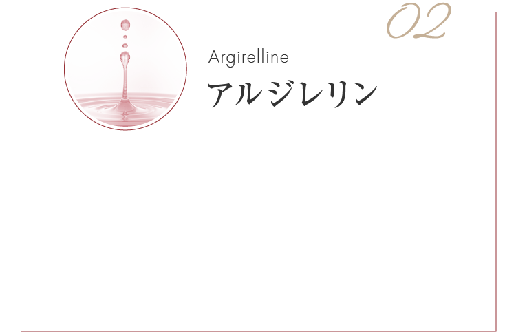 アルジレリン